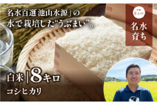 【令和６年産新米】うぶまい(コシヒカリ白米)8kg〈阿蘇の名水　池山水源米〉