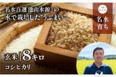 【令和６年産新米】うぶまい(コシヒカリ　玄米)8kg〈阿蘇の名水　池山水源米〉