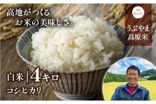 ＜令和7年産新米＞うぶやま高原米（コシヒカリ2kg×2袋）《2025年9月末頃よリ順次出荷予定》