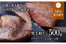 くまもと黒毛和牛・リブロース約500g《60日以内に出荷予定(土日祝除く)》