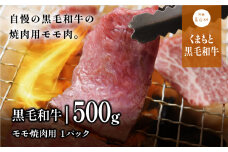 くまもと黒毛和牛・モモ焼肉用約500g《60日以内に出荷予定(土日祝除く)》