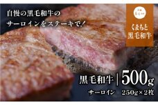 くまもと黒毛和牛・サーロイン約500g《60日以内に出荷予定(土日祝除く)》