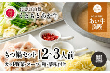 ＜カット野菜付き＞くまもと阿蘇あか牛もつ鍋セット(2～3人前)《60日以内に出荷予定（土日祝除く）》