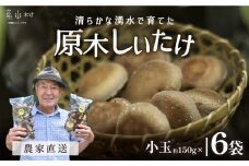 阿蘇・産山村産　原木生しいたけ小玉900g（150g×6袋）《6月中旬-11月下旬頃出荷予定》