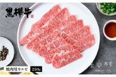 熊本県産黒毛和牛　黒樺牛焼肉用カルビ　250ｇ《60日以内に出荷予定(土日祝除く)》