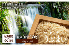 【令和６年産新米定期便3回】うぶまい(コシヒカリ玄米)4kg〈阿蘇の名水　池山水源米〉