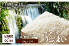 【令和６年産新米定期便3回】うぶまい(コシヒカリ白米)4kg〈阿蘇の名水　池山水源米〉