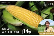 先行予約 とうもろこし 朝採り スイートコーン 恵味スター 2L・14本セット　熊本県　産山村　阿蘇　池部農園《2026年7月中旬-8月中旬出荷》