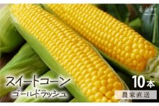 《先行受付開始》産地直送 とうもろこし 朝採れ スイートコーン ゴールドラッシュ 15本セット 特大 熊本 阿蘇 産山村トウモロコシ ギフト 今が旬 コーン 旬 お取り寄せ 人気 大人気 贈答《2025年7月中旬-8月下旬出荷》
