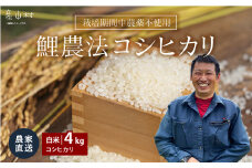 ＜令和６年産新米＞鯉農法 コシヒカリ（白米）４kg