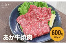 熊本県産　あか牛　焼肉600g《30日以内に出荷予定(土日祝除く)》