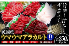 馬刺し 純国産 ウマウマ アラカルト Bセット（たてがみ） 専用醤油付き 50g ×5種 計250g 有限会社九州食肉産業《30日以内に出荷予定(土日祝除く)》熊本県 産山村 純国産 馬刺し 国産 熊本肥育 馬刺 馬肉 詰め合わせ 贈答用 ギフト お中元 お歳暮