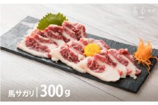 馬サガリ300ｇ