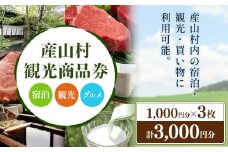 産山村観光商品券 3,000円 熊本 阿蘇 絶景 パノラマビュー 観光 買い物 乗馬 旅館 宿泊 グルメ 温泉 地産地消 商品券 プレゼント 贈答 ギフト 産山村 送料無料《30日以内に出荷(土日祝除く)》