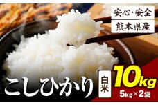 令和6年産 こしひかり 10kg 《7-14日以内に出荷予定(土日祝除く)》令和6年産 熊本県産 ふるさと納税 白米 精米 ひの 米 こめ ふるさとのうぜい コシヒカリ コメ お米 おこめ