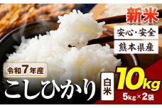 令和7年産 新米 こしひかり 10kg 《9月下旬-11月上旬頃出荷》令和6年産 熊本県産 ふるさと納税 新米 白米 精米 ひの 米 こめ ふるさとのうぜい コシヒカリ コメ お米 おこめ
