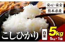 令和6年産 こしひかり 5kg 《7-14日以内に出荷予定(土日祝除く)》令和6年産 熊本県産 ふるさと納税 白米 精米 ひの 米 こめ ふるさとのうぜい コシヒカリ コメ お米 おこめ