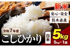 令和7年産 新米 こしひかり 5kg 《10月中旬-12月末頃出荷》令和7年産 熊本県産 ふるさと納税 新米 白米 精米 ひの 米 こめ ふるさとのうぜい コシヒカリ コメ お米 おこめ