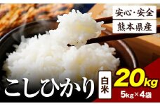 令和6年産 こしひかり 20kg 《7-14日以内に出荷予定(土日祝除く)》令和6年産 熊本県産 ふるさと納税 白米 精米 ひの 米 こめ ふるさとのうぜい コシヒカリ コメ お米 おこめ