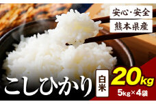 令和6年産 こしひかり 20kg 《7-14日以内に出荷予定(土日祝除く)》令和6年産 熊本県産 ふるさと納税 白米 精米 ひの 米 こめ ふるさとのうぜい コシヒカリ コメ お米 おこめ