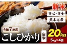 令和7年産 新米 こしひかり 20kg 《9月下旬-11月上旬頃出荷》令和7年産 熊本県産 ふるさと納税 新米 白米 精米 ひの 米 こめ ふるさとのうぜい コシヒカリ コメ お米 おこめ