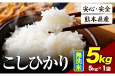 令和6年産 こしひかり 5kg 《7-14日以内に出荷予定(土日祝除く)》令和6年産 熊本県産 ふるさと納税 無洗米 ひの 米 こめ ふるさとのうぜい コシヒカリ コメ お米 おこめ