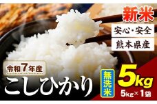 令和7年産 こしひかり 新米 5kg 《9月下旬-11月上旬頃出荷》令和7年産 熊本県産 ふるさと納税 無洗米 新米 ひの 米 こめ ふるさとのうぜい コシヒカリ コメ お米 おこめ