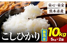 令和6年産 こしひかり 10kg 《7-14日以内に出荷予定(土日祝除く)》令和6年産 熊本県産 ふるさと納税 無洗米 ひの 米 こめ ふるさとのうぜい コシヒカリ コメ お米 おこめ