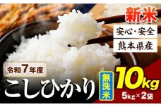 令和7年産 新米 こしひかり 10kg 《9月下旬-11月上旬頃出荷》令和6年産 熊本県産 ふるさと納税 無洗米 ひの 米 こめ ふるさとのうぜい コシヒカリ コメ お米 おこめ