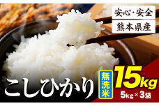令和6年産 こしひかり 15kg 《7-14日以内に出荷予定(土日祝除く)》令和6年産 熊本県産 ふるさと納税 無洗米 ひの 米 こめ ふるさとのうぜい コシヒカリ コメ お米 おこめ