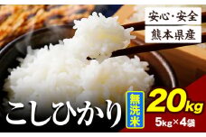 令和6年産 こしひかり 20kg 《7-14日以内に出荷予定(土日祝除く)》令和6年産 熊本県産 ふるさと納税 無洗米 ひの 米 こめ ふるさとのうぜい コシヒカリ コメ お米 おこめ