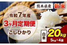 【3ヶ月定期便】令和7年産 定期便 こしひかり 20㎏ 新米 白米 阿蘇 うぶやま 米 定期便 熊本県産 ふるさと納税 精米 ひの 米 こめ ふるさとのうぜい コシヒカリ コメ お米 おこめ