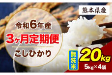 【3ヶ月定期便】令和6年産 定期便 こしひかり 20kg 無洗米 阿蘇 うぶやま 米 定期便 熊本県産 ふるさと納税 精米 ひの 米 こめ ふるさとのうぜい コシヒカリ コメ お米 おこめ《申込み翌月から出荷》