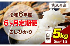 【6ヶ月定期便】令和6年産 定期便 こしひかり 5kg 白米 阿蘇 うぶやま 米 定期便 熊本県産 ふるさと納税 精米 ひの 米 こめ ふるさとのうぜい コシヒカリ コメ お米 おこめ《申込み翌月から出荷》