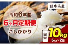 【6ヶ月定期便】令和6年産 定期便 こしひかり 10kg 白米 阿蘇 うぶやま 米 定期便 熊本県産 ふるさと納税 精米 ひの 米 こめ ふるさとのうぜい コシヒカリ コメ お米 おこめ《申込み翌月から出荷》
