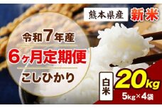 【6ヶ月定期便】令和7年産 定期便 こしひかり 20kg 新米 白米 阿蘇 うぶやま 米 定期便 熊本県産 ふるさと納税 精米 ひの 米 こめ ふるさとのうぜい コシヒカリ コメ お米 おこめ《申込み翌月から出荷》
