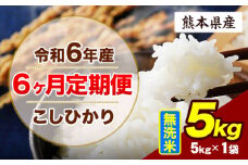【6ヶ月定期便】令和6年産 定期便 こしひかり 5kg 無洗米 阿蘇 うぶやま 米 定期便 熊本県産 ふるさと納税 精米 ひの 米 こめ ふるさとのうぜい コシヒカリ コメ お米 おこめ《申込み翌月から出荷》