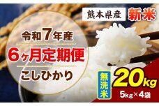 【6ヶ月定期便】令和7年産 定期便 こしひかり 20kg 新米 無洗米 阿蘇 うぶやま 米 定期便 熊本県産 ふるさと納税 精米 ひの 米 こめ ふるさとのうぜい コシヒカリ コメ お米 おこめ《申込み翌月から出荷》