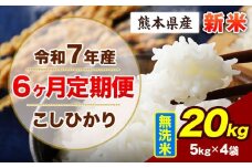 【6ヶ月定期便】令和7年産 定期便 こしひかり 20kg 新米 無洗米 阿蘇 うぶやま 米 定期便 熊本県産 ふるさと納税 精米 ひの 米 こめ ふるさとのうぜい コシヒカリ コメ お米 おこめ《11月から出荷開始》