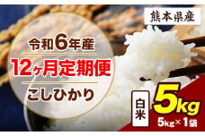 【12ヶ月定期便】令和6年産 定期便 こしひかり 5kg 白米 阿蘇 うぶやま 米 定期便 熊本県産 ふるさと納税 精米 ひの 米 こめ ふるさとのうぜい コシヒカリ コメ お米 おこめ《申込み翌月から出荷》