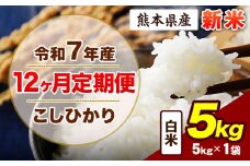 【12ヶ月定期便】令和7年産 定期便 こしひかり 5kg 新米 白米 阿蘇 うぶやま 米 定期便 熊本県産 ふるさと納税 精米 ひの 米 こめ ふるさとのうぜい コシヒカリ コメ お米 おこめ《申込み翌月から出荷》