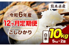 【12ヶ月定期便】令和6年産 定期便 こしひかり 10kg 白米 阿蘇 うぶやま 米 定期便 熊本県産 ふるさと納税 精米 ひの 米 こめ ふるさとのうぜい コシヒカリ コメ お米 おこめ《申込み翌月から出荷》