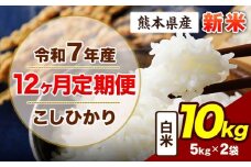 【12ヶ月定期便】令和7年産 定期便 こしひかり 10kg 新米 白米 阿蘇 うぶやま 米 定期便 熊本県産 ふるさと納税 精米 ひの 米 こめ ふるさとのうぜい コシヒカリ コメ お米 おこめ《申込み翌月から出荷》