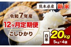 【12ヶ月定期便】令和7年産 定期便 こしひかり 20kg 新米 白米 阿蘇 うぶやま 米 定期便 熊本県産 ふるさと納税 精米 ひの 米 こめ ふるさとのうぜい コシヒカリ コメ お米 おこめ《申込み翌月から出荷》