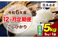 【12ヶ月定期便】令和6年産 定期便 こしひかり 5kg 無洗米 阿蘇 うぶやま 米 定期便 熊本県産 ふるさと納税 精米 ひの 米 こめ ふるさとのうぜい コシヒカリ コメ お米 おこめ《申込み翌月から出荷》