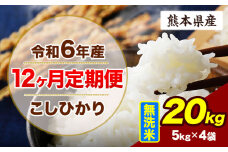 【12ヶ月定期便】令和6年産 定期便 こしひかり 20kg 無洗米 阿蘇 うぶやま 米 定期便 熊本県産 ふるさと納税 精米 ひの 米 こめ ふるさとのうぜい コシヒカリ コメ お米 おこめ《申込み翌月から出荷》