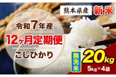 【12ヶ月定期便】令和7年産 定期便 こしひかり 20kg 新米 無洗米 阿蘇 うぶやま 米 定期便 熊本県産 ふるさと納税 精米 ひの 米 こめ ふるさとのうぜい コシヒカリ コメ お米 おこめ《申込み翌月から出荷》