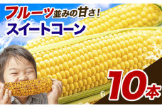 とうもろこし 極甘 スイートコーン ゴールドラッシュ 恵味 10本《7月中旬-8月上旬頃出荷予定》熊本県 産山村 野菜 夏野菜 コーン トウモロコシ 一番果 冷蔵 先行予約