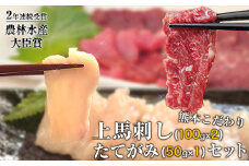 馬刺し 上赤身 ブロック 国産 熊本肥育 冷凍 生食用 たれ付き(100g×2)＋たてがみセット(50g×1) 肉 期間限定 絶品 牛肉よりヘルシー 馬肉 予約 平成27年28年 農林水産大臣賞受賞 熊本県産山村《90日以内に出荷予定(土日祝除く)》