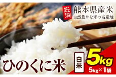 白米 ひのくに米 5kg 《7-14日以内に出荷予定(土日祝除く)》 食品 米 こめ コメ 熊本県産 ふるさと納税 お米 おこめ 熊本